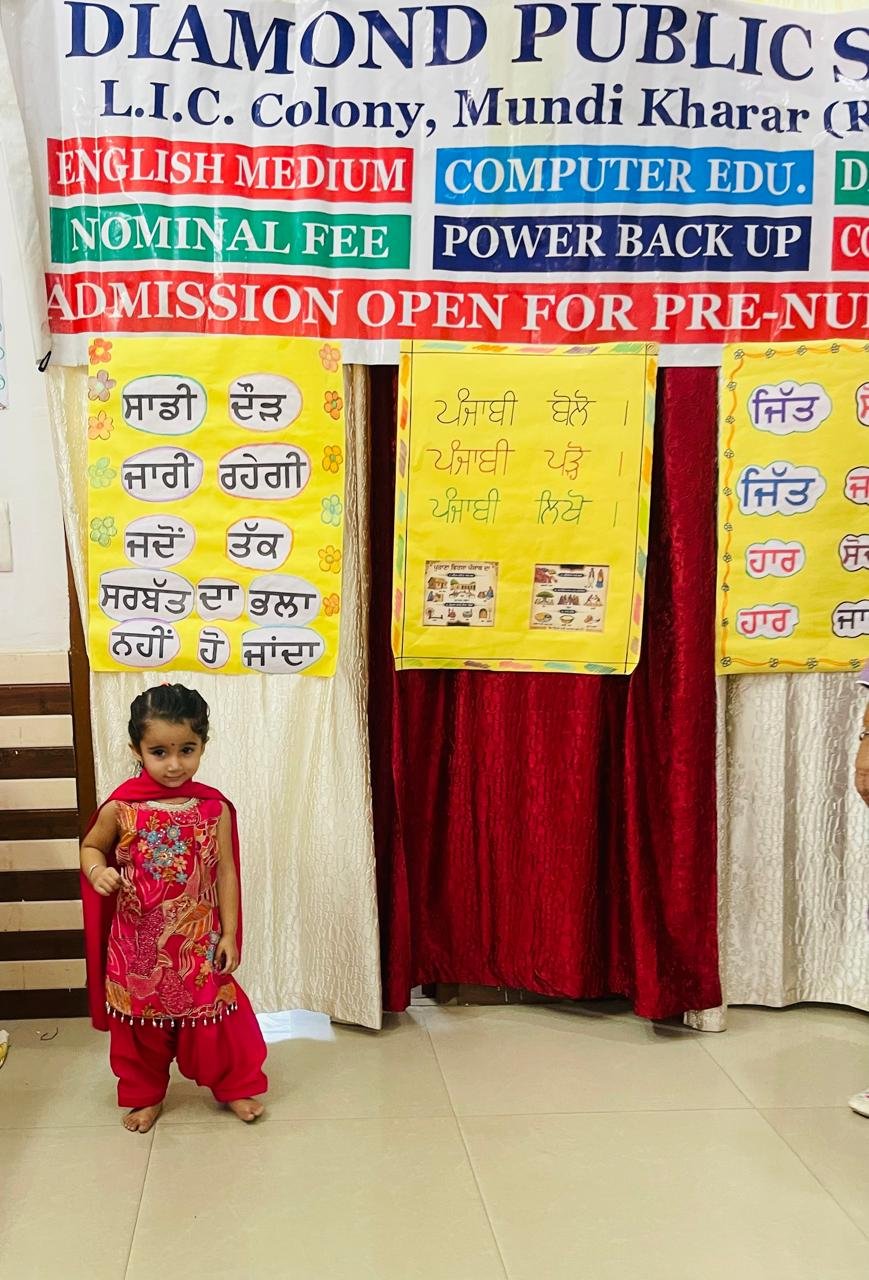 🌸 ਵਿਸ਼ਵ ਪੰਜਾਬੀ ਦਿਵਸ ਦੀਆਂ ਰੰਗਦਾਰ ਝਲਕੀਆਂ 🌸